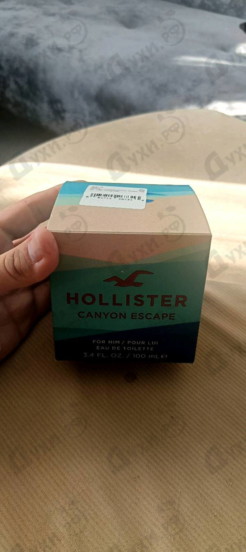 Купить Hollister Canyon Escape от Hollister