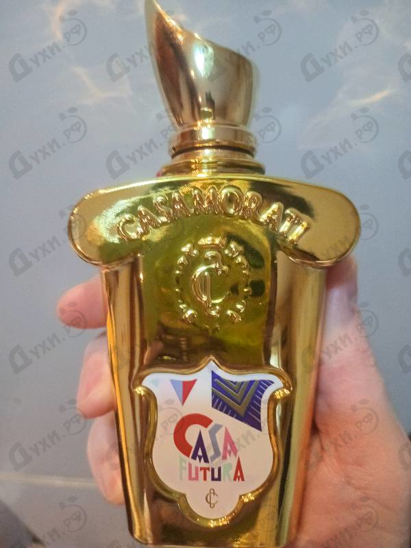 Купить Casafutura от Xerjoff