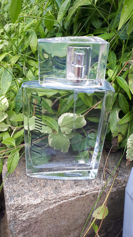 Духи Essence Pure от Dupont