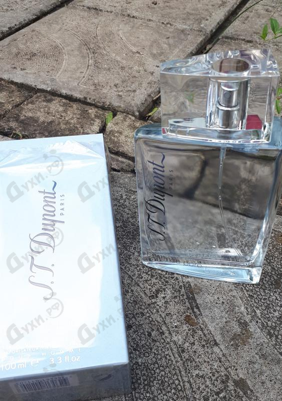 Купить Essence Pure от Dupont
