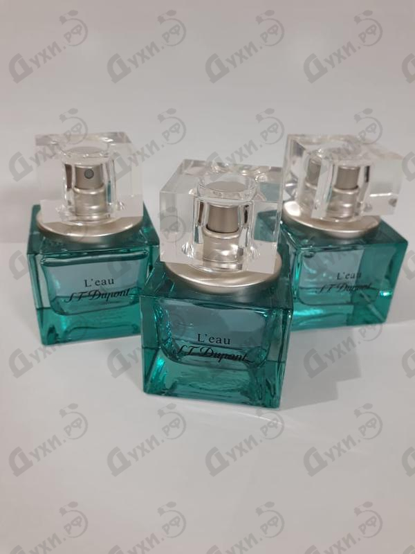 Парфюм Dupont L'eau Духи L'eau от Dupont