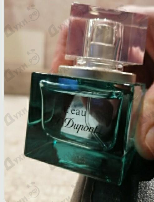 Парфюмерия L'eau от Dupont