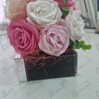 Отзывы Dupont Passenger