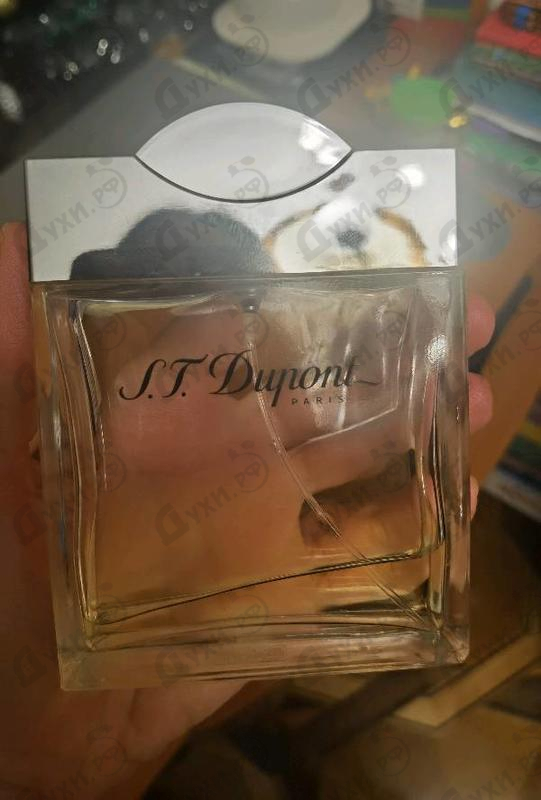 Парфюмерия Men от Dupont Отзывы Dupont Men