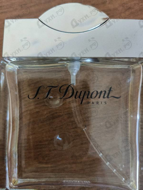 Купить Men от Dupont