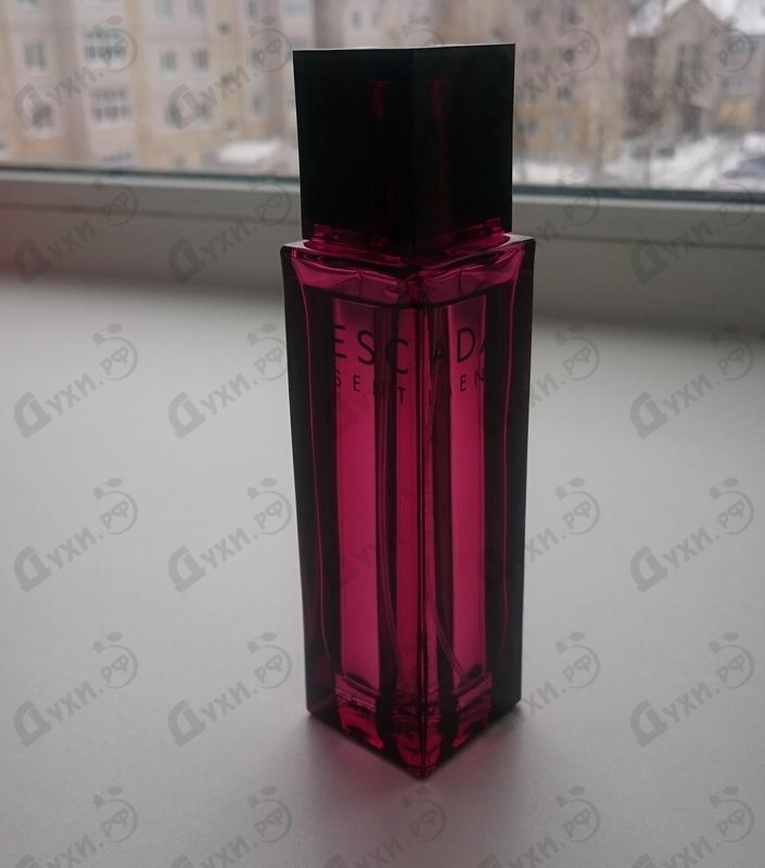 Купить Sentiment от Escada