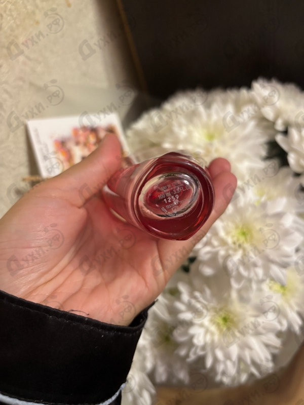 Купить Escada Cherry In Japan