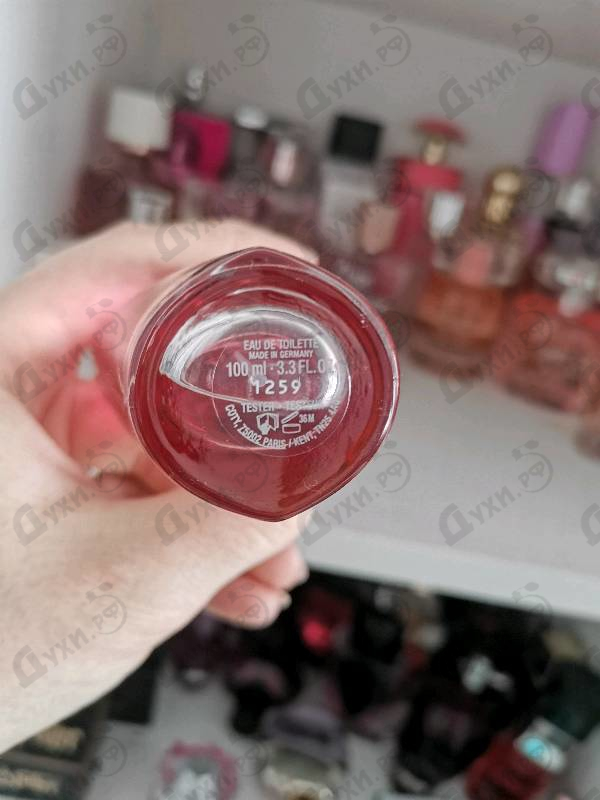 Купить Cherry In Japan от Escada