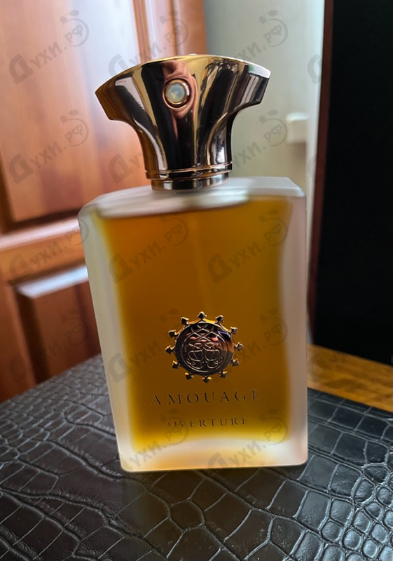 Купить Overture от Amouage