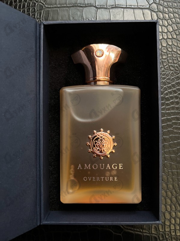 Купить Overture от Amouage