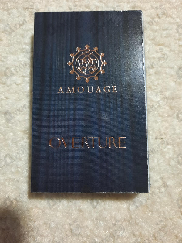 Отзыв Amouage Overture Man