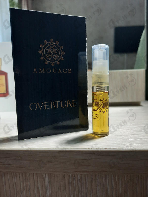 Купить Overture Man от Amouage