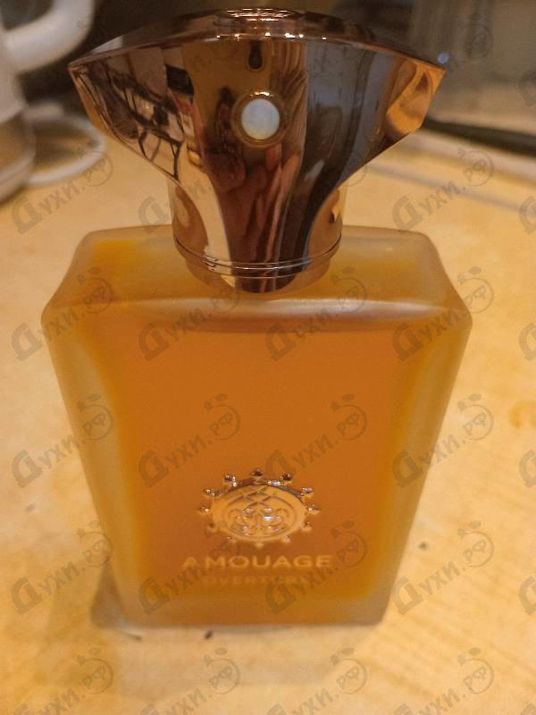 Купить Overture от Amouage