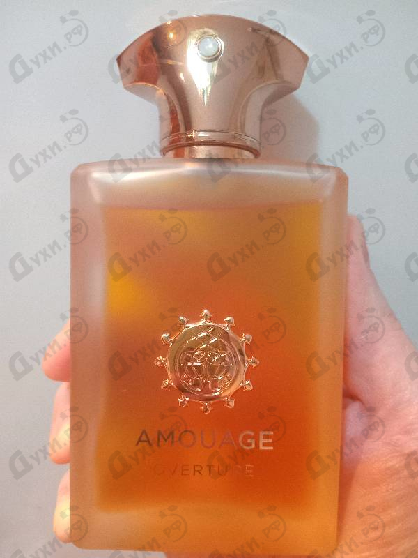 Купить Overture от Amouage