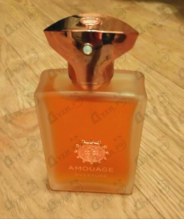 Купить Amouage Overture