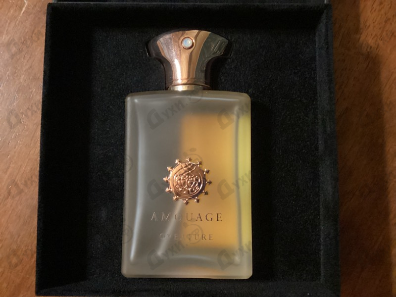 Купить Overture от Amouage