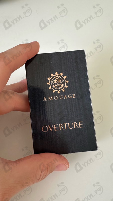 Купить Overture от Amouage