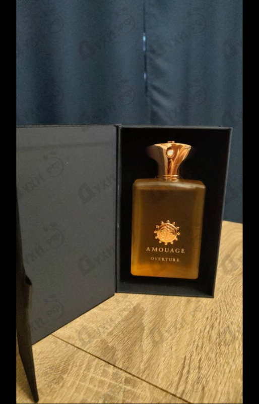 Купить Overture от Amouage