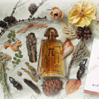 Отзывы Givenchy Pi