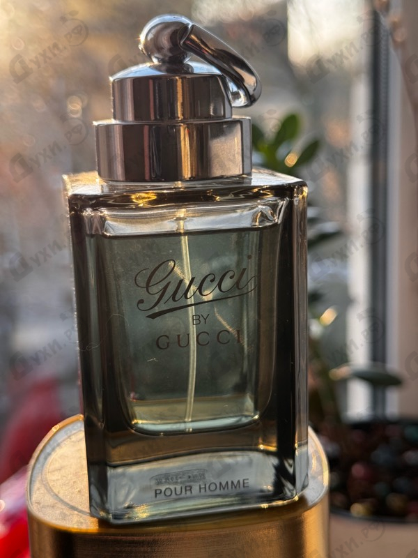 Купить By Gucci от Gucci