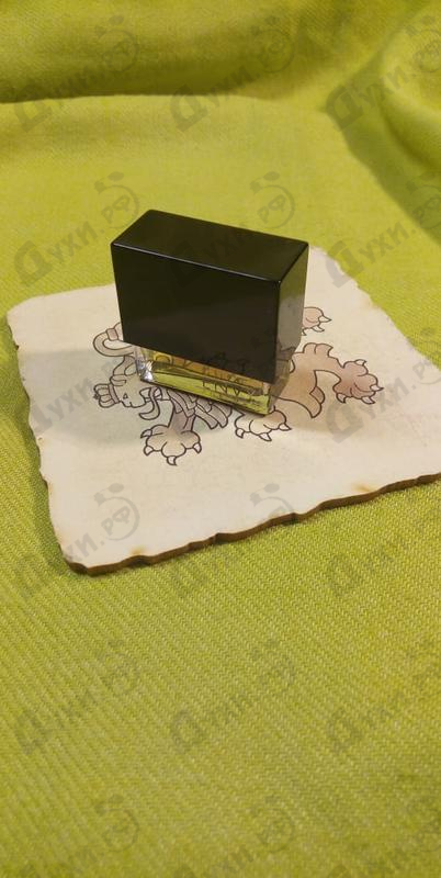 Купить Envy от Gucci