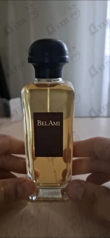 Купить Bel Ami от Hermes