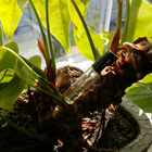 Духи Terre D'hermes от Hermes