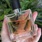 Отзыв Hermes Terre D'hermes
