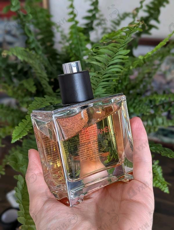 Отзыв Hermes Terre D'hermes