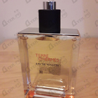 Отзыв Hermes Terre D'hermes