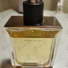 Отзыв Hermes Terre D'hermes