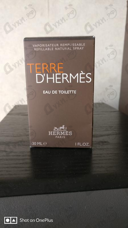 Купить Hermes Terre D'hermes