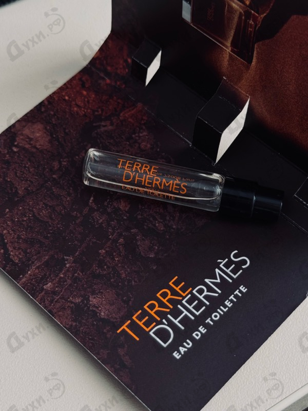 Купить Hermes Terre D'hermes