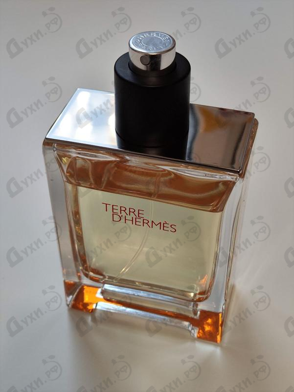 Купить Terre D'hermes от Hermes