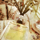 Отзыв Hermes Terre D'hermes