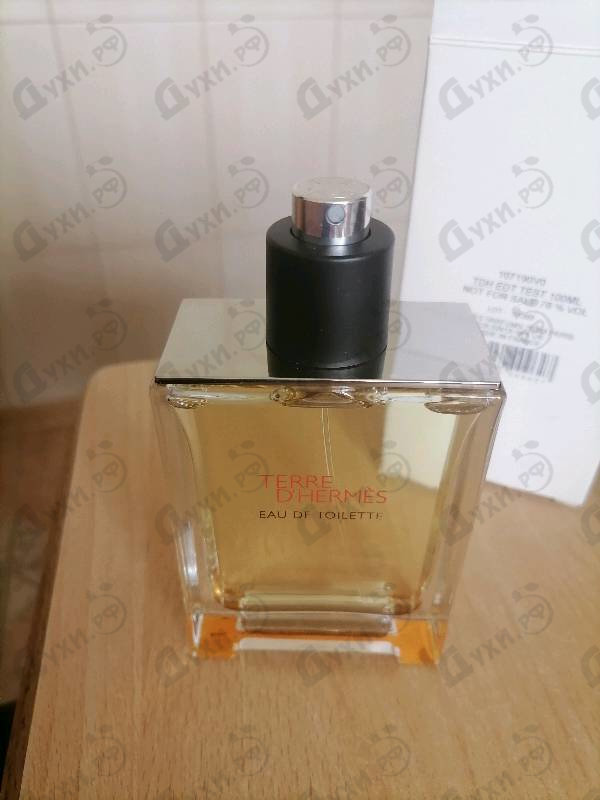 Отзыв Hermes Terre D'hermes