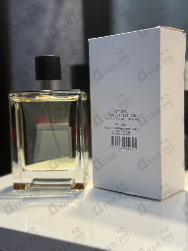 Купить Hermes Terre D'hermes