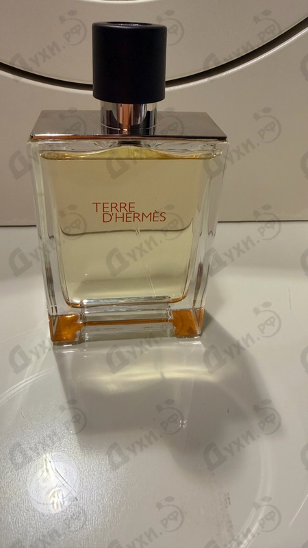 Отзывы Hermes Terre D'hermes