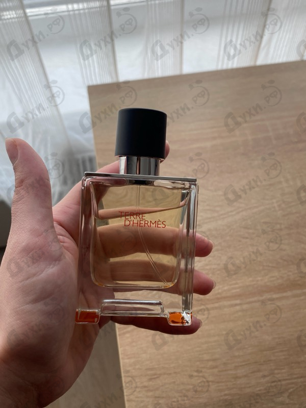 Отзывы Hermes Terre D'hermes