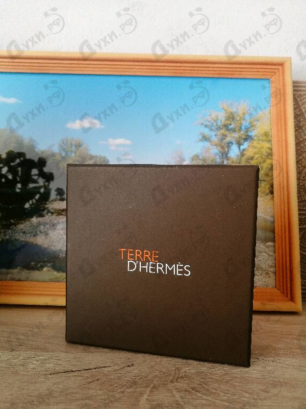 Купить Terre D'hermes от Hermes