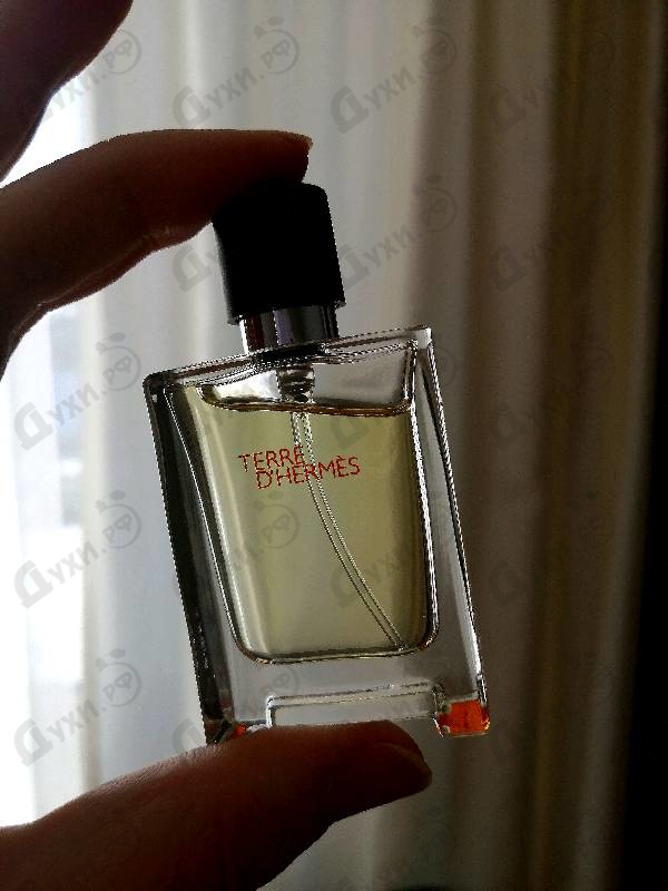 Отзывы Hermes Terre D'hermes