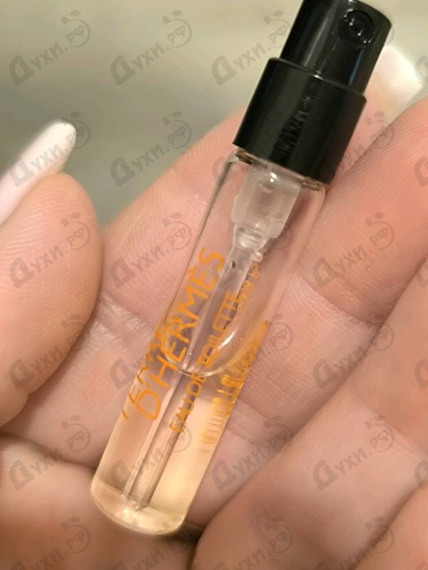 Купить Terre D'hermes от Hermes