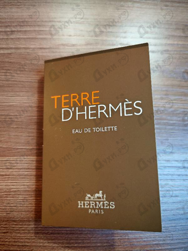 Купить Hermes Terre D'hermes