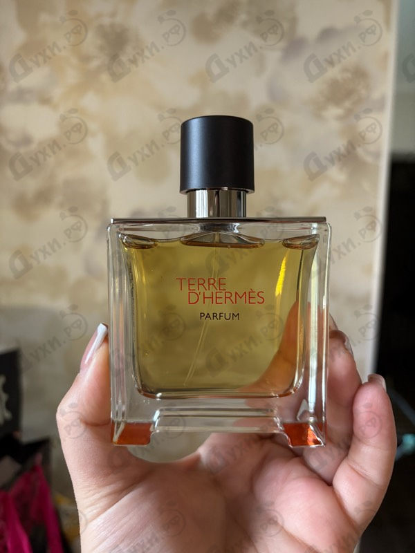 Купить Terre D'hermes от Hermes