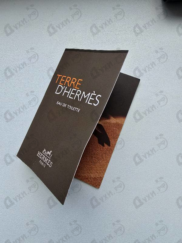 Купить Hermes Terre D'hermes