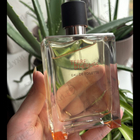 Отзыв Hermes Terre D'hermes