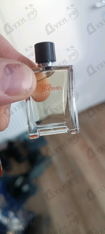 Купить Terre D'hermes от Hermes