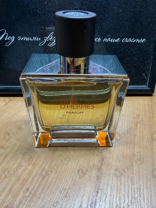 Купить Hermes Terre D'hermes