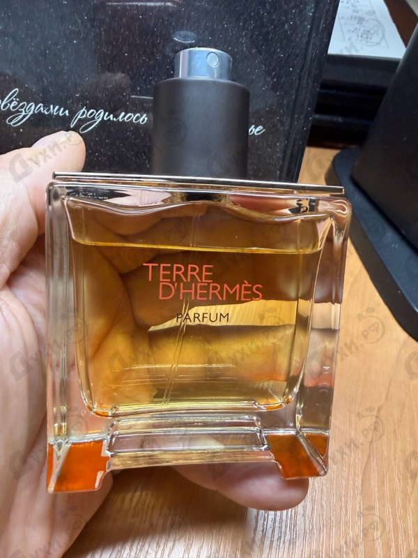 Купить Terre D'hermes от Hermes