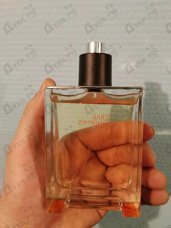 Отзывы Hermes Terre D'hermes